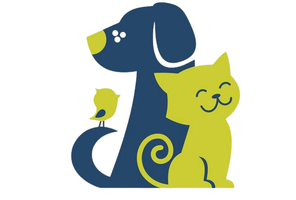 Pet Accessories 